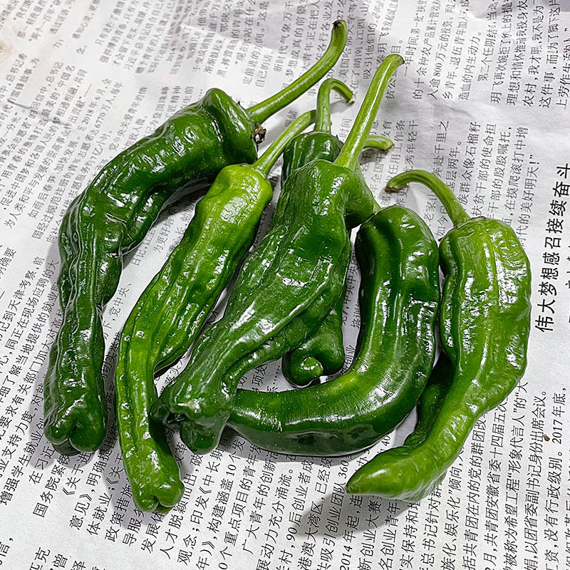 新鲜薄皮皱皮特辣青椒500g辣椒比小米椒辣蔬菜青菜尖椒螺丝椒菜椒_虎窝淘