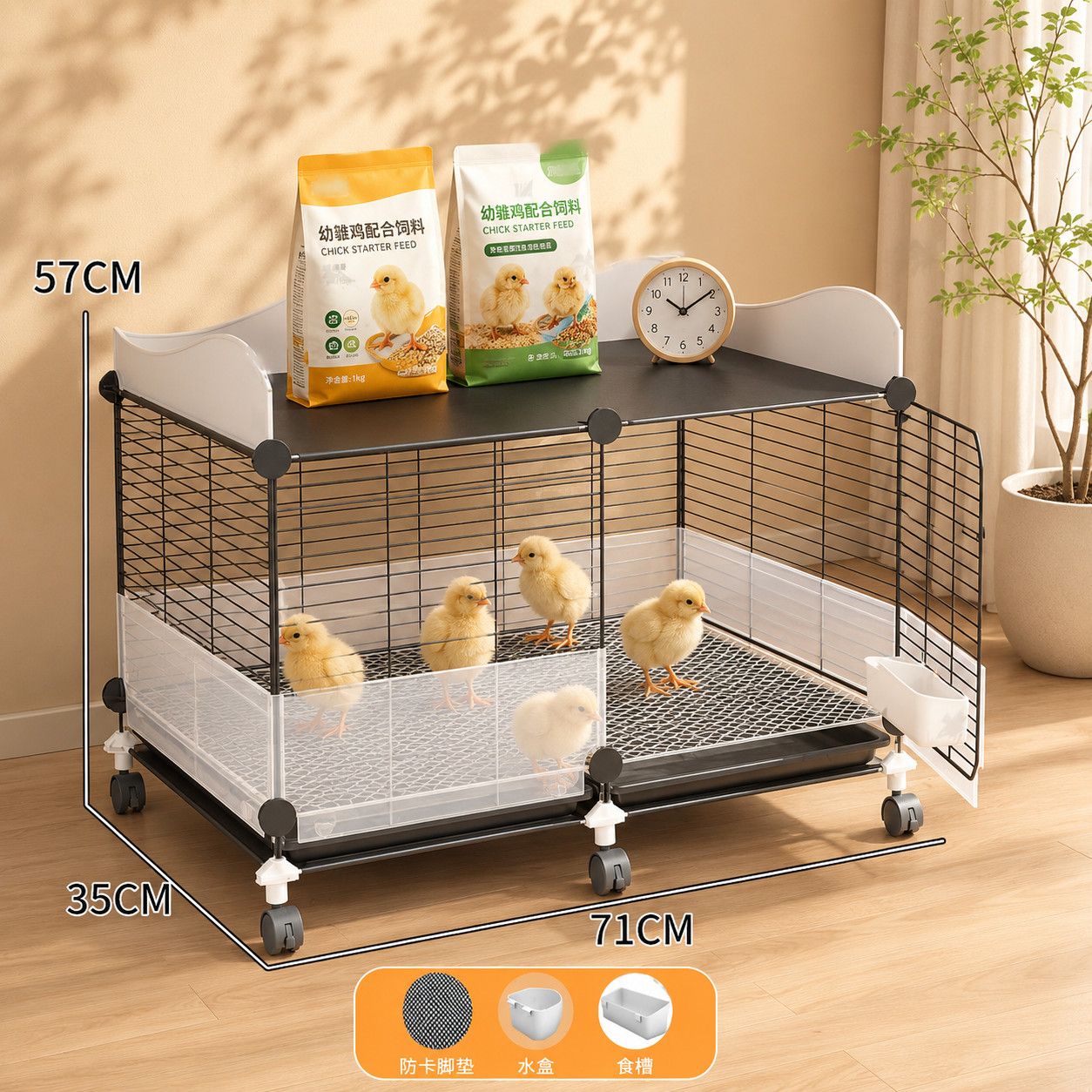 Special cage for chicken cage breeding