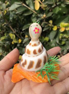 纪念品工艺品贝壳海螺厂家批发