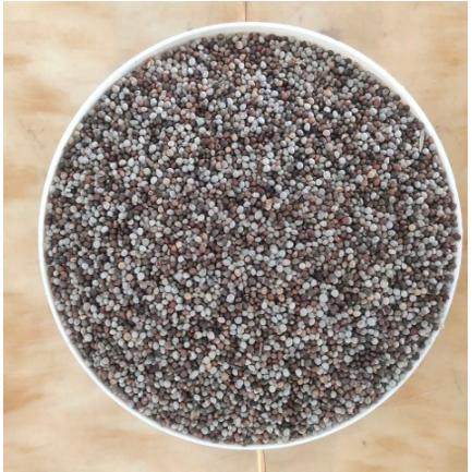 混合苏子花苏子当年新粮鸟饲料玉鸟丝雀鹦鹉 包邮特价真空包装,淘宝优惠券,粉丝福利购,淘宝优惠卷