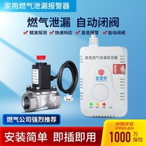 Gas Alarm Home Solenoid Valve Kitchen Liquefied Gas gas electromagnetic cut-off valve Gas automatic break valve