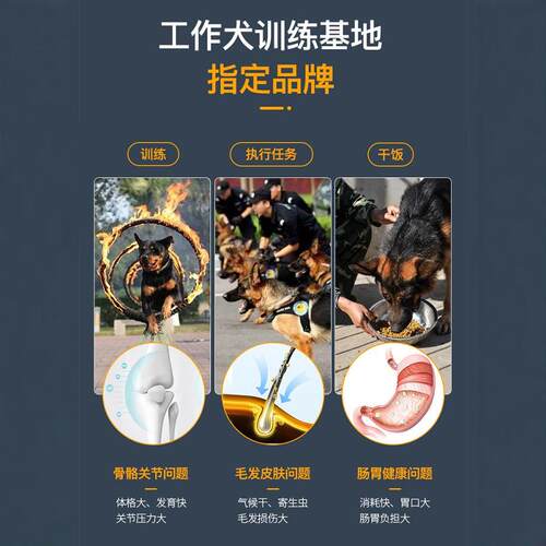 雷米高澳宝狗粮40斤装通用型大型犬拉布拉多马犬德牧成犬20kg包邮 - 图2
