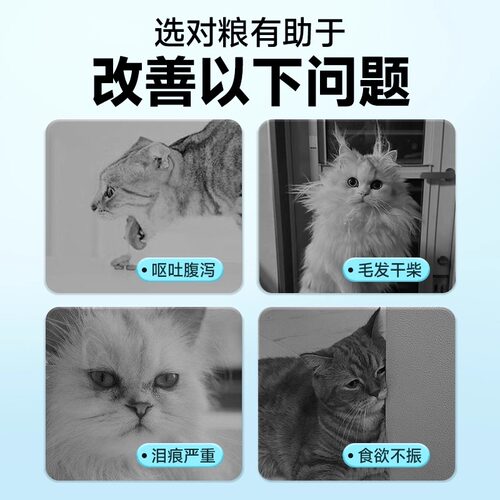 雷米高猫粮5斤装澳宝成猫幼猫增肥营养英短包邮海洋鱼味猫咪主粮 - 图1