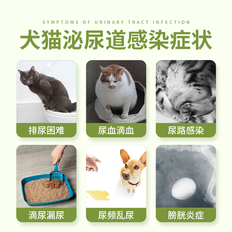 宠物用利尿通猫咪狗狗尿路感染泌尿系统药尿道炎消炎药头孢羟氨苄