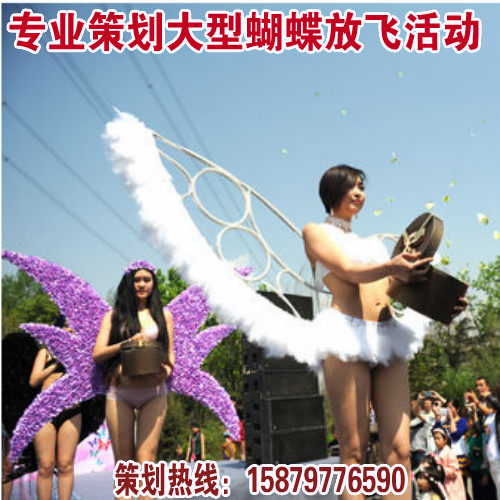 真活蝴蝶活体的蝴蝶活体放飞活的活物求婚庆典婚礼养殖蝴蝶羽化蝶 - 图1