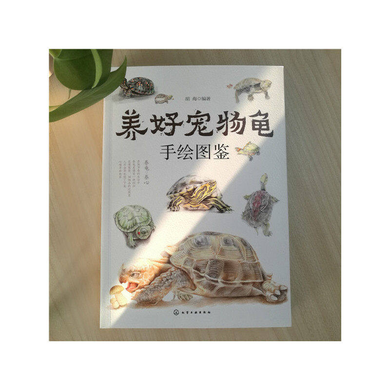 养好宠物龟手绘图鉴 45种宠物乌龟巴西龟草龟黄耳大鳄龟黑靴特点生活环境搭建喂养方法繁殖龟病防治饲养宠物龟指导参考图书K,淘宝优惠券,粉丝福利购,淘宝优惠卷