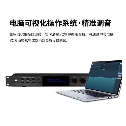 Winner/天逸 AD-208 PRO混响器专业卡拉OK数字防啸叫前级效果器 - 图1
