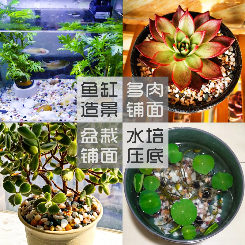 五彩石盆栽多肉植物铺面石雨花石鱼缸造景小石子花盆装饰七彩石头-图2