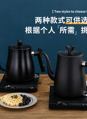 304电热水壶烧水壶特莱雅不锈钢