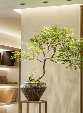 仿真绿植新中式茶室桌面植物盆景