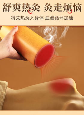 普艾源10cm大艾条五年陈