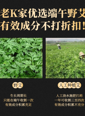 老K家端午野艾石臼石搓手工艾条