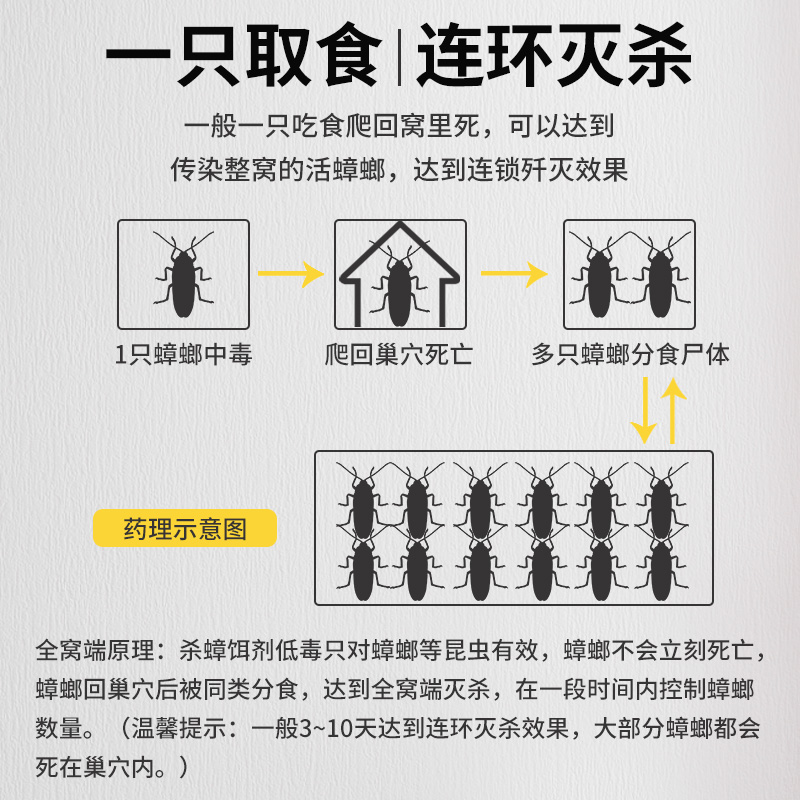 灭蟑螂药家用一窝全窝端饭店厨房神器强力贴杀蟑饵剂粉高效非无毒 - 图2