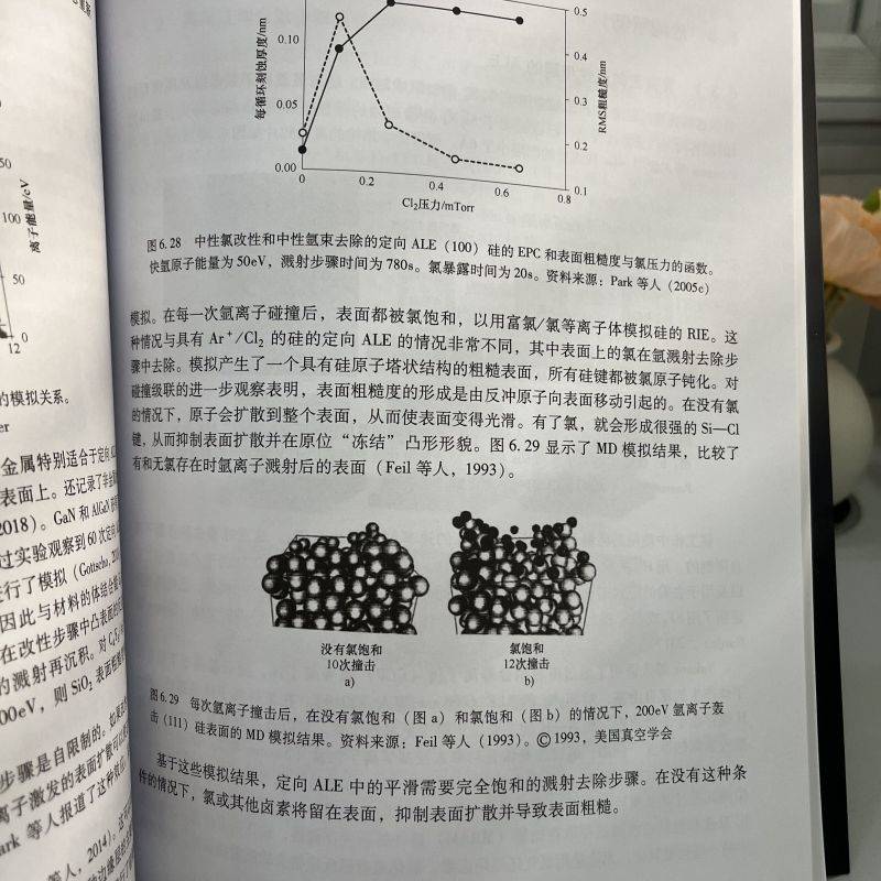 正版现货 半导体干法刻蚀技术 原子层工艺 机械工业出版社 (美)索斯藤·莱尔 著 丁扣宝 译 电子/通信（新）