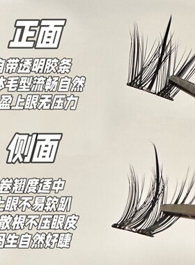大容量免胶小奶狗~犬系假睫毛懒人浓密自然漫画仿真分段新款100簇