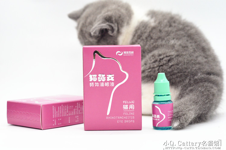 博莱得利猫鼻支特效滴眼液猫用疱疹病毒眼药水流泪痕猫支鼻滴眼液 - 图1