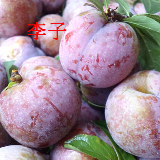 Yongtai dried plums, Fujian Fu'an Tantou sweet and sour preserves