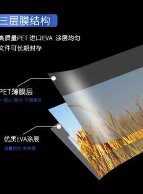王者塑封A4A38寸7653护卡膜厂家