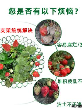 草莓架子园艺工具种植架栽培架
