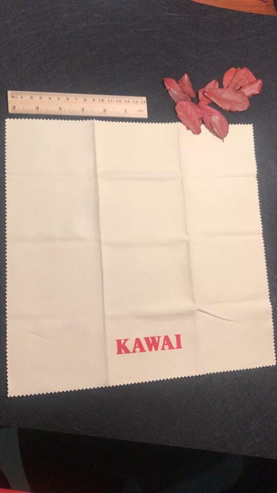 托雅玛TOYAMA钢琴亮光剂120ML清洁保养恢复漆面上蜡镜面恢复 - 图3