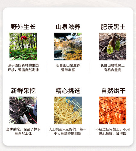 19.9元2支长白山高年份人参林下参高龄野老山参散装 礼盒泡酒煲汤 - 图0