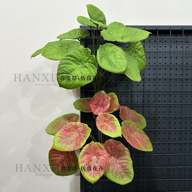高仿真软胶龟背叶大把束叶子带根绿植背景墙插花造景绿植花槽摆放,淘宝优惠券,粉丝福利购,淘宝优惠卷