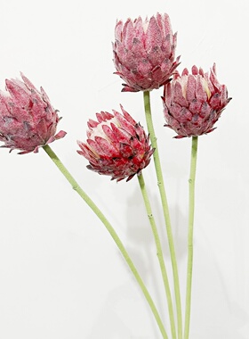北欧装饰假花帝王花蓟花