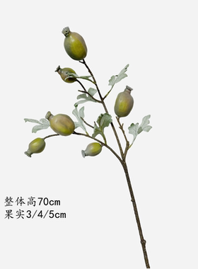 罂粟果样板房软装摆放橱窗装饰
