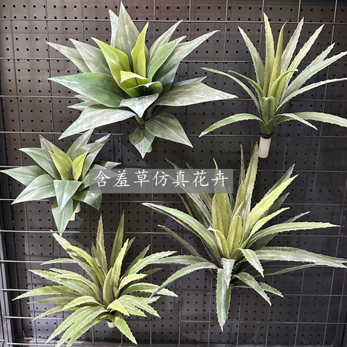 高仿真软胶蕙兰叶手感吊兰叶绿色植物花槽墙面大型盆栽摆放绿植 - 图1