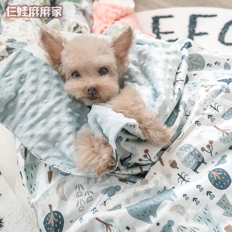 仨娃麻麻-3D安抚豆豆绒宠物狗狗毯子泰迪毛毯纯棉小狗保暖深睡毯 - 图0