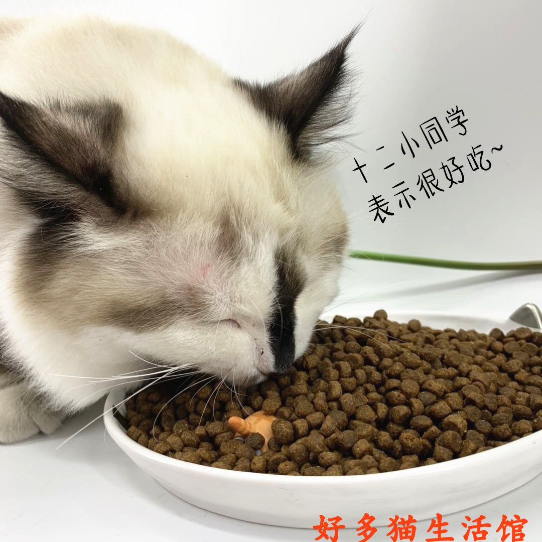 好多猫福摩猫粮绿福摩美毛鸭肉无谷天然肠胃敏感全猫粮晟煜标包邮 - 图2