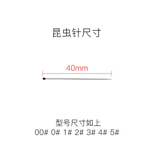 不锈钢DIY标本制作工具昆虫针定位针固定针展翅针蝴蝶蝉甲虫飞蛾 - 图2