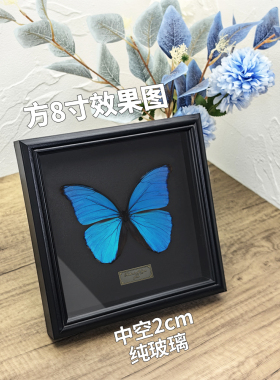 纯黑玻璃中空相框昆虫蝴蝶标本