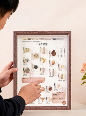天然化石相框生日礼品装饰挂画