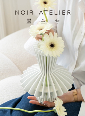 客厅创意家居摆件装饰花瓶北欧风