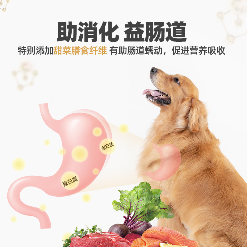 麦顿金典B2通用幼犬成犬狗粮10kg20斤装中大型犬金毛萨摩拉布拉多 - 图1