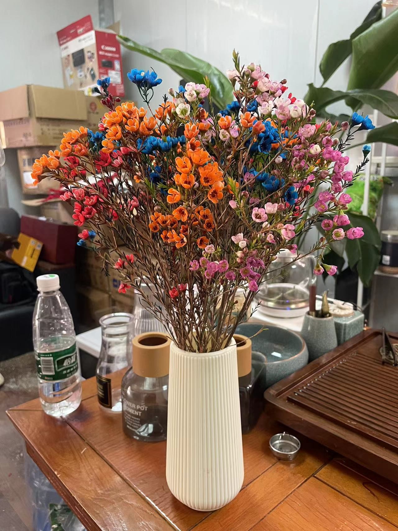澳洲腊梅精选水养插花鲜切花云南基地现采现发_昆明米澜花苑_鲜花速递/花卉仿真/绿植园艺-第3张图片-提都小院
