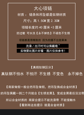 「追梦人」批发价 钛钢大心项链配饰女轻奢小众高级感锁骨链颈链