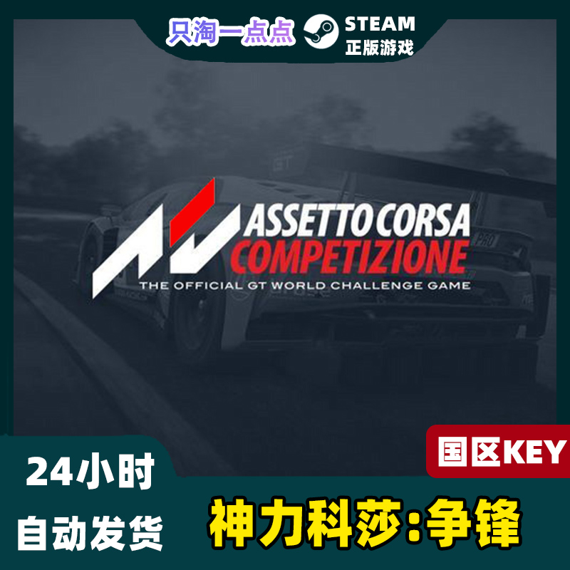 Steam正版国区Key神力科莎:争锋 竞速Assetto Corsa Competizione - 图0