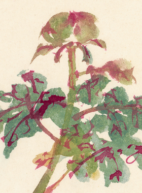 国画花鸟画客厅字画新中式非手绘装饰画挂画张大千牡丹图赠装裱
