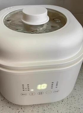 olayks立时电炖锅燕窝小炖盅隔水炖家用煲汤宝宝煮粥锅婴儿辅食锅
