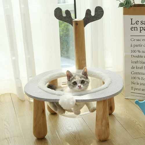 Hoopet Budering Earth Pet Cat Sleep и играет на кошку игрушку для кошек, большой космический лазание в одном