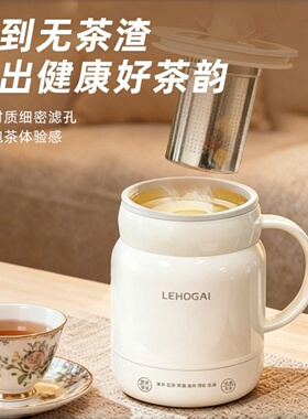 迷你电炖杯保温泡面煮锅