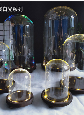 发光防尘罩永生花微景观桌面摆件