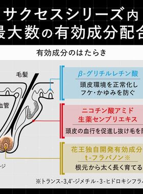 2025日本畅销新货花王Success Vital Charge药用生发滋补