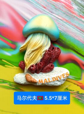 印度尼泊尔马尔代夫不丹锡冰箱贴