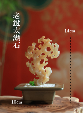 太湖石摆件清供盆景搭配中式桌面装饰书房文房布置
