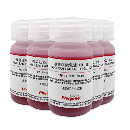 0.1%核固红染色液 Nuclear Fast Red 100mL[PH1112 PHYGENE]-图3