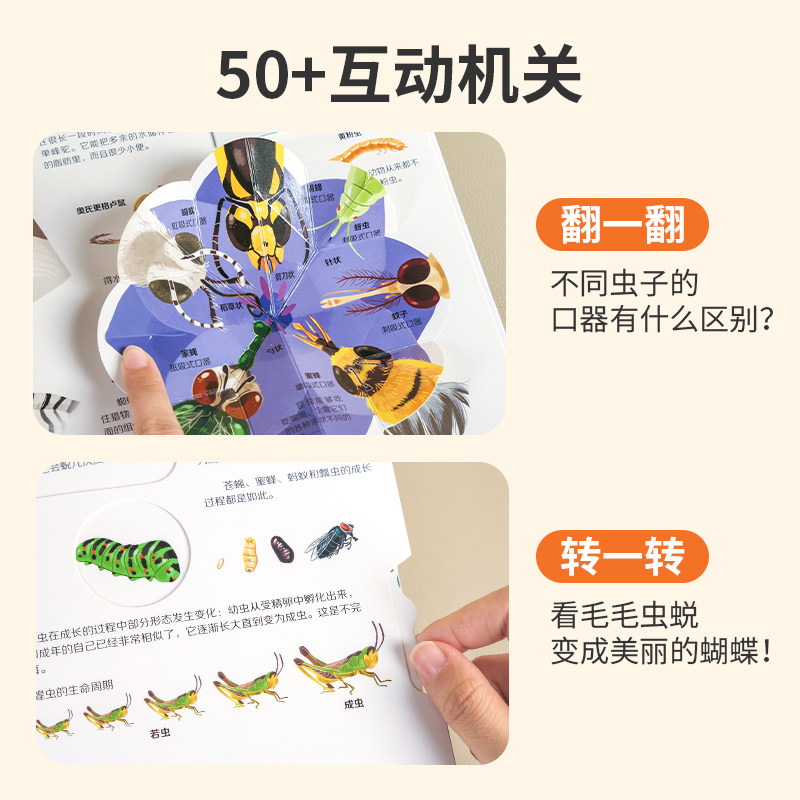 图 4
