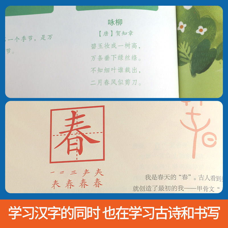 【全2册】画给孩子的汉字书+讲给孩子的汉字故事有故事的汉字我的第一本汉字书汉字翻翻书汉字是画出来的 3-8岁幼儿园小学生阅读-图2